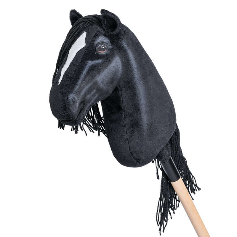 "Midnight“ Hobby Horse – M Allround